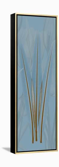 Brown Blue Palm-Albert Koetsier-Framed Stretched Canvas