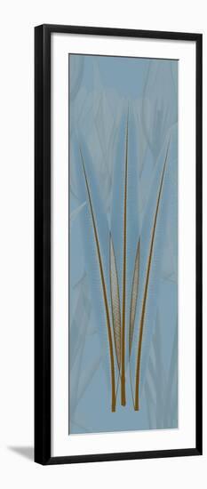 Brown Blue Palm-Albert Koetsier-Framed Art Print