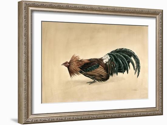Brown-Breasted Red Bantam, 1985-Mary Clare Critchley-Salmonson-Framed Giclee Print