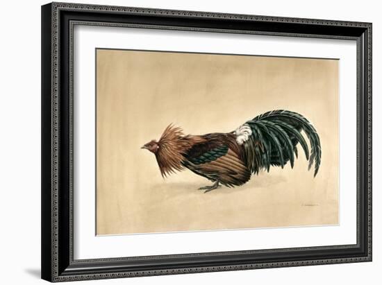 Brown-Breasted Red Bantam, 1985-Mary Clare Critchley-Salmonson-Framed Giclee Print