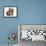 Brown Burmese-Cross Kitten with Rex Rabbit-Jane Burton-Framed Photographic Print displayed on a wall