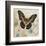Brown Butterfly-Alan Hopfensperger-Framed Art Print