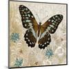 Brown Butterfly-Alan Hopfensperger-Mounted Art Print