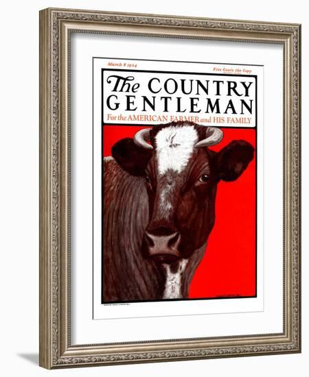 "Brown Cow," Country Gentleman Cover, March 8, 1924-Charles Bull-Framed Giclee Print