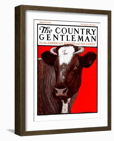 "Brown Cow," Country Gentleman Cover, March 8, 1924-Charles Bull-Framed Giclee Print