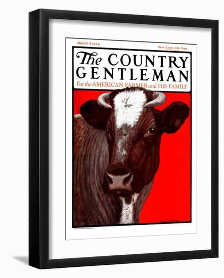 "Brown Cow," Country Gentleman Cover, March 8, 1924-Charles Bull-Framed Giclee Print