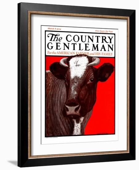 "Brown Cow," Country Gentleman Cover, March 8, 1924-Charles Bull-Framed Giclee Print