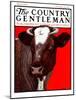 "Brown Cow," Country Gentleman Cover, March 8, 1924-Charles Bull-Mounted Giclee Print
