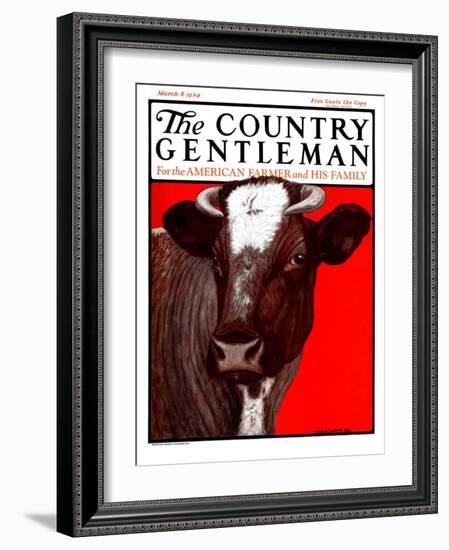 "Brown Cow," Country Gentleman Cover, March 8, 1924-Charles Bull-Framed Giclee Print