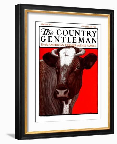 "Brown Cow," Country Gentleman Cover, March 8, 1924-Charles Bull-Framed Giclee Print