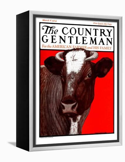 "Brown Cow," Country Gentleman Cover, March 8, 1924-Charles Bull-Framed Premier Image Canvas