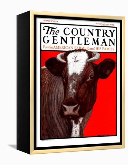 "Brown Cow," Country Gentleman Cover, March 8, 1924-Charles Bull-Framed Premier Image Canvas