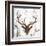 Brown Deer Head-OnRei-Framed Art Print