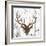 Brown Deer Head-OnRei-Framed Art Print