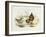 Brown Dipper (Cinclus Pallasii)-John Gould-Framed Giclee Print