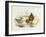 Brown Dipper (Cinclus Pallasii)-John Gould-Framed Giclee Print