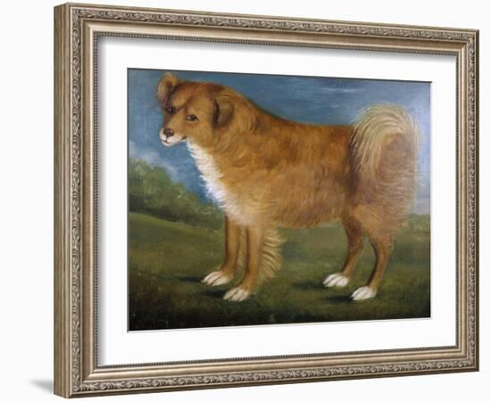 Brown Dog in a Landscape, C.1850 (Oil on Canvas)-Unknown Artist-Framed Giclee Print
