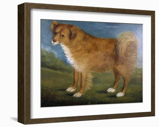 Brown Dog in a Landscape, C.1850 (Oil on Canvas)-Unknown Artist-Framed Giclee Print