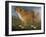 Brown Dog in a Landscape, C.1850 (Oil on Canvas)-Unknown Artist-Framed Giclee Print