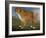 Brown Dog in a Landscape, C.1850 (Oil on Canvas)-Unknown Artist-Framed Giclee Print