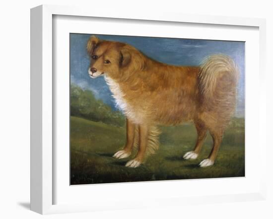 Brown Dog in a Landscape, C.1850 (Oil on Canvas)-Unknown Artist-Framed Giclee Print