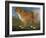 Brown Dog in a Landscape, C.1850 (Oil on Canvas)-Unknown Artist-Framed Giclee Print