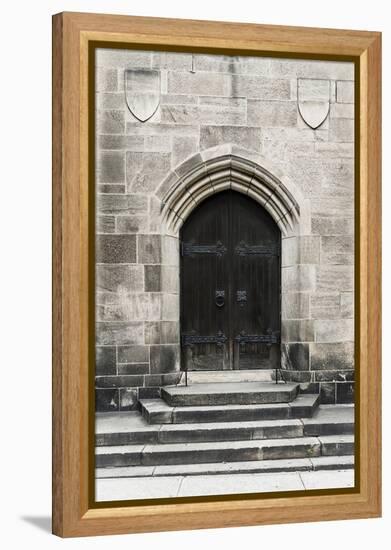 Brown Door-Tracey Telik-Framed Premier Image Canvas