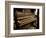 Brown Drown-Stephen Arens-Framed Photographic Print