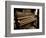 Brown Drown-Stephen Arens-Framed Photographic Print