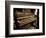 Brown Drown-Stephen Arens-Framed Photographic Print