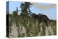 Stretched Canvas Print