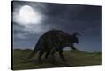 Stretched Canvas Print