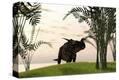 Stretched Canvas Print