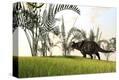 Stretched Canvas Print