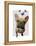 Brown French Bulldog and Butterflies-Fab Funky-Framed Stretched Canvas