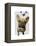 Brown French Bulldog and Butterflies-Fab Funky-Framed Stretched Canvas