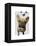 Brown French Bulldog and Butterflies-Fab Funky-Framed Stretched Canvas