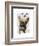 Brown French Bulldog and Butterflies-Fab Funky-Framed Art Print