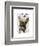 Brown French Bulldog and Butterflies-Fab Funky-Framed Art Print