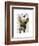 Brown French Bulldog and Butterflies-Fab Funky-Framed Art Print