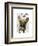 Brown French Bulldog and Butterflies-Fab Funky-Framed Art Print