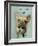 Brown French Bulldog and Butterflies-Fab Funky-Framed Art Print