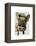 Brown French Bulldog with Green Hat-Fab Funky-Framed Stretched Canvas