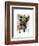 Brown French Bulldog with Green Hat-Fab Funky-Framed Art Print