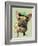 Brown French Bulldog with Green Hat-Fab Funky-Framed Art Print