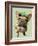 Brown French Bulldog with Green Hat-Fab Funky-Framed Art Print