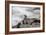 Brown Fur Seals, Arctocephalus Pusillus, Stands Strong Against the Waves in Cape Cross, Namibia-Alex Saberi-Framed Photographic Print