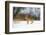 Brown hare skidding to a halt in a snow covered field, UK-Andrew Parkinson-Framed Photographic Print