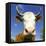 Brown Holstein Cow In The Field Looking At You-Volokhatiuk-Framed Premier Image Canvas