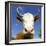 Brown Holstein Cow In The Field Looking At You-Volokhatiuk-Framed Photographic Print